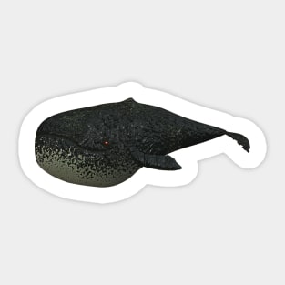 Whale 4 Sticker